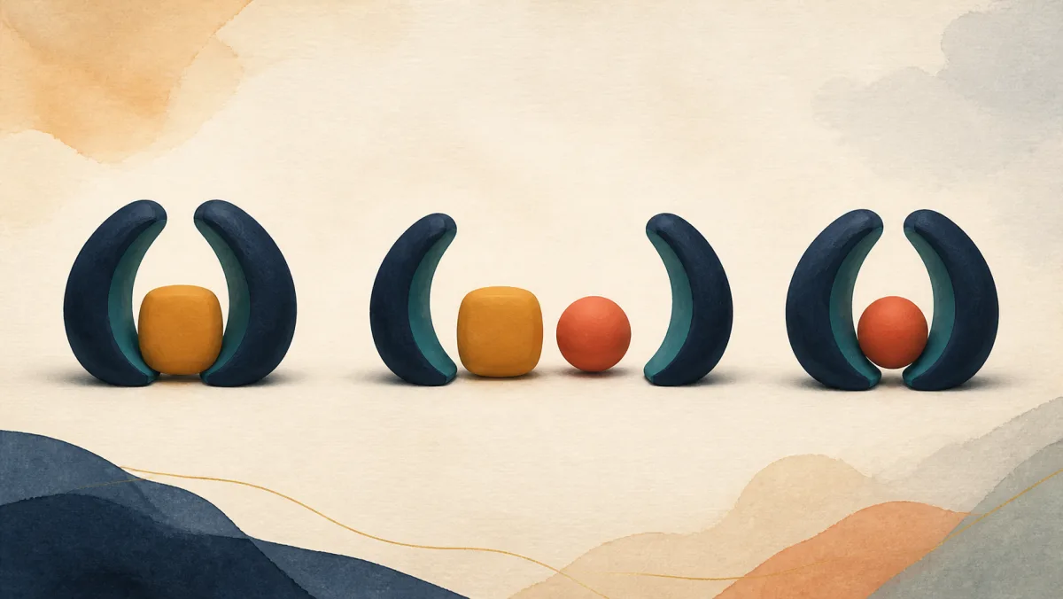 Paired curved forms showing how larger and smaller objects can fit between separable parts